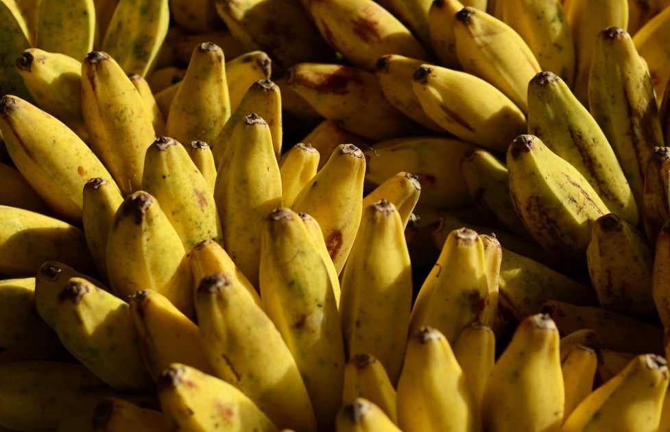 bananas