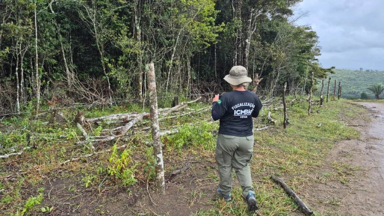 Operação contra desmatamento embarga 474 hectares e aplica R$ 2,6 milhões em multas em Pernambuco